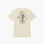Brixton Steady SS STND T-Shirt - Cream