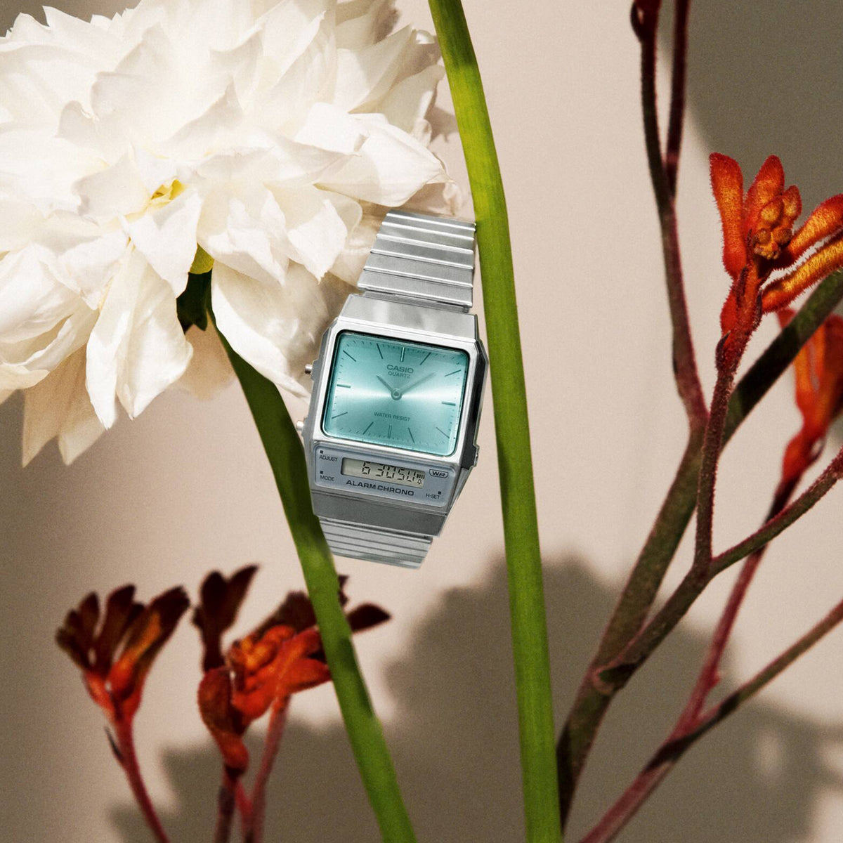 Casio Vintage AQ-800EC-2AEF Silver / Light Blue