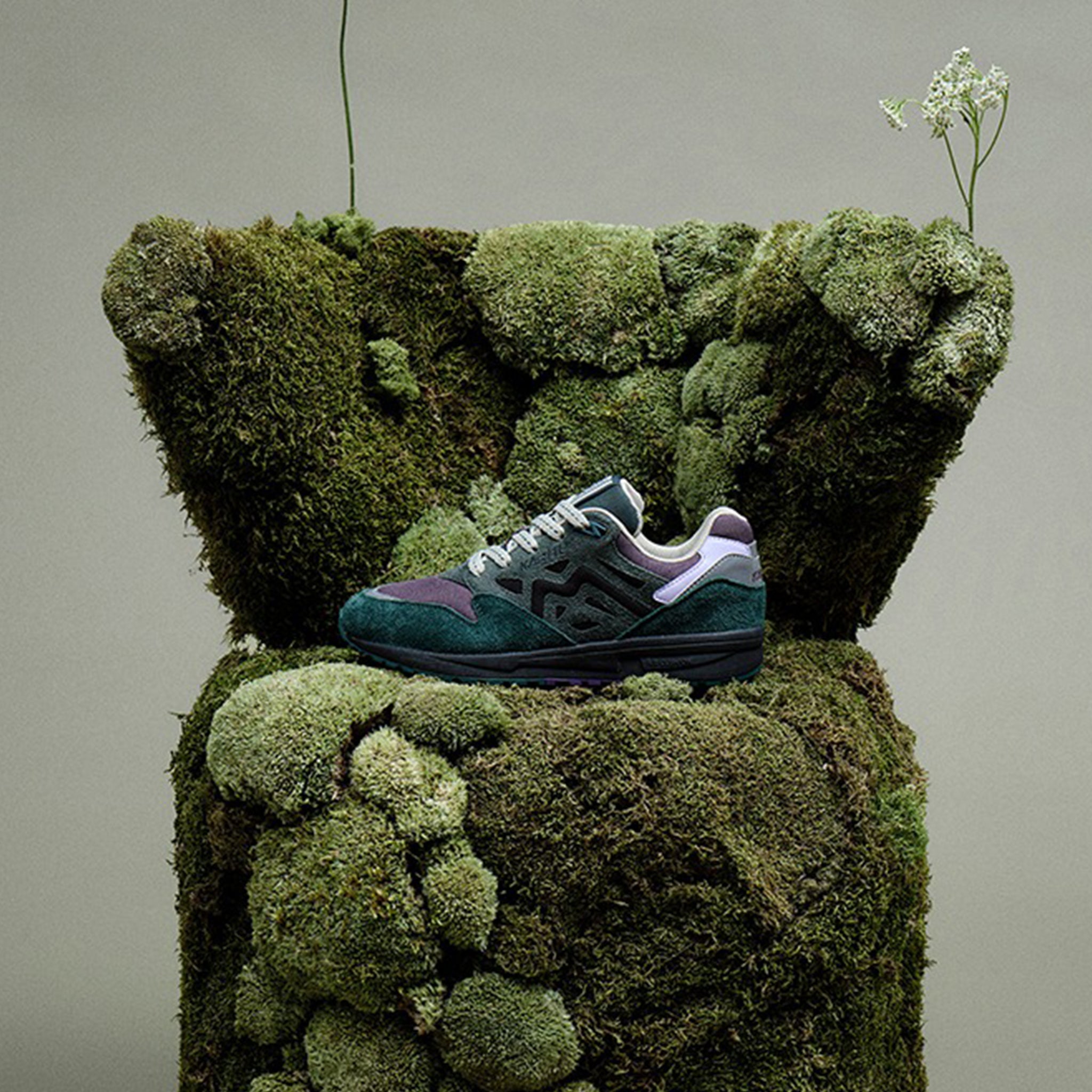 Karhu Legacy 96 - Rain Forest Plum Perfect