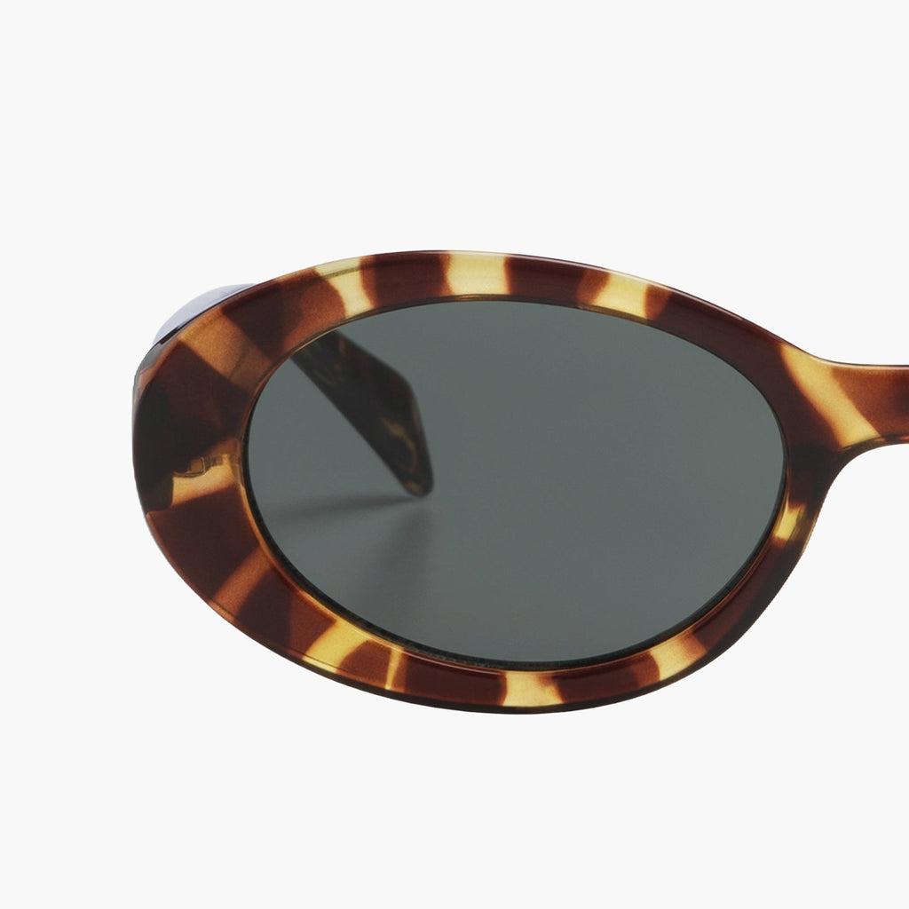 Komono Ana Tortoise
