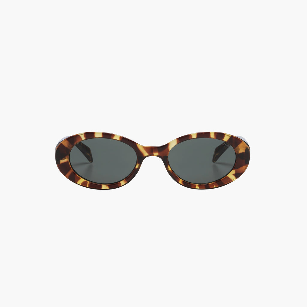 Komono Ana Tortoise