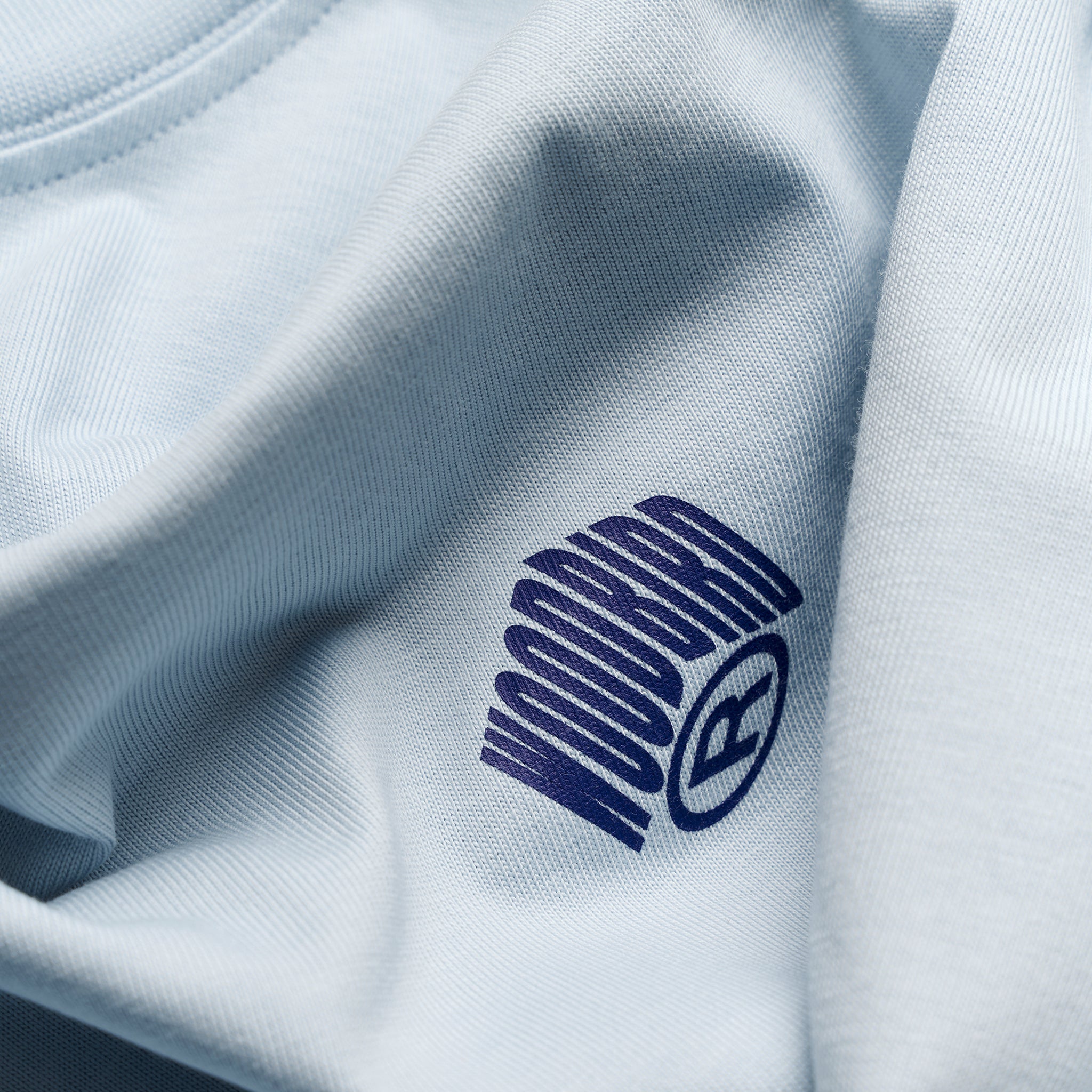 Woodbird WBBaine Carp Tee Dusty Blue
